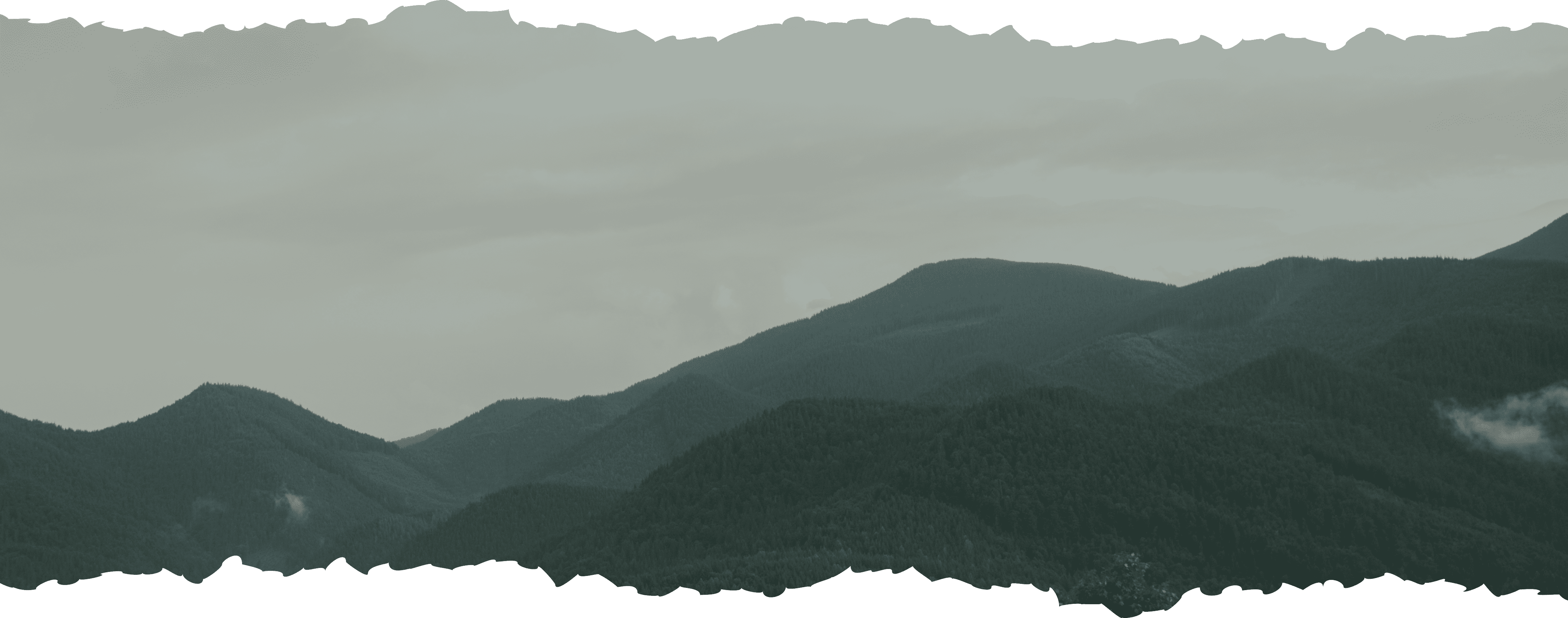 Section background